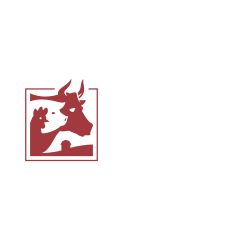 carnicería Rocío