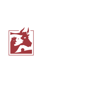 carnicería Rocío